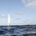 whale_humpback_h_00167_dom3566.jpg